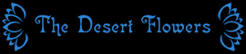 The Desert Flowers Belly Dance Entertainment Arizona